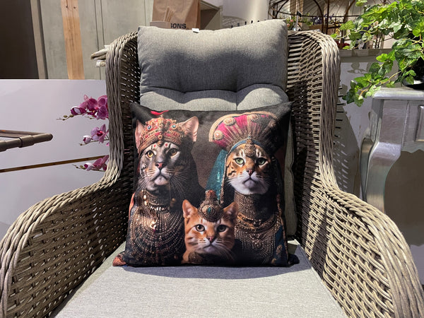 Kuddfodral - CatFamily